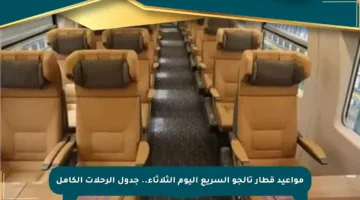 مواعيد قطار تالجو السريع اليوم الثلاثاء.. جدول الرحلات الكامل